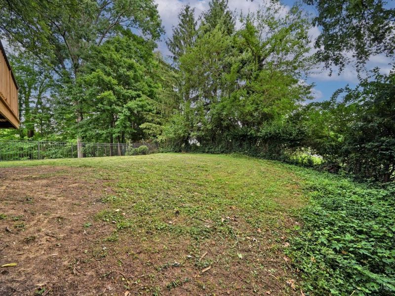 3559 Rawson Place, Cincinnati, OH 45209 Photo 41
