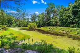 2463 Hanna Lake Rd.  photo 4