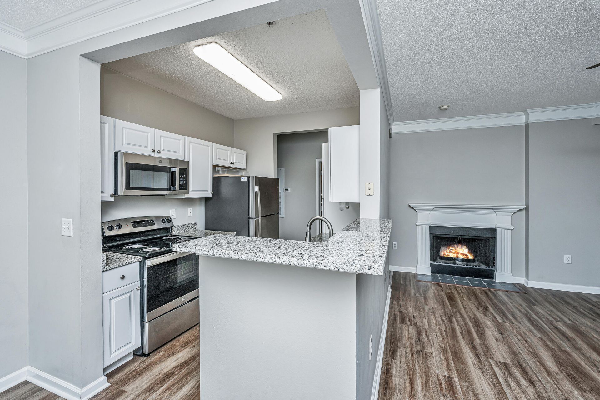 2128 Chatelain Way Photo 18