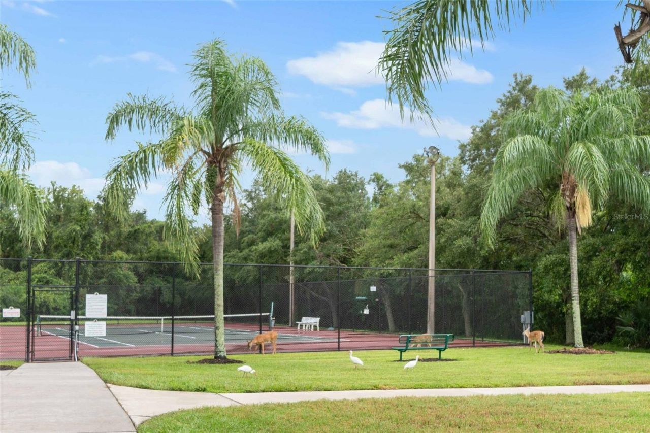 289 Petrel Trail, Bradenton, FL 34212 Photo