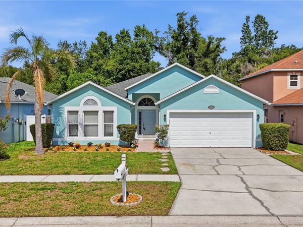 4715 COPPER CANYON BOULEVARD , VALRICO, FL 33594