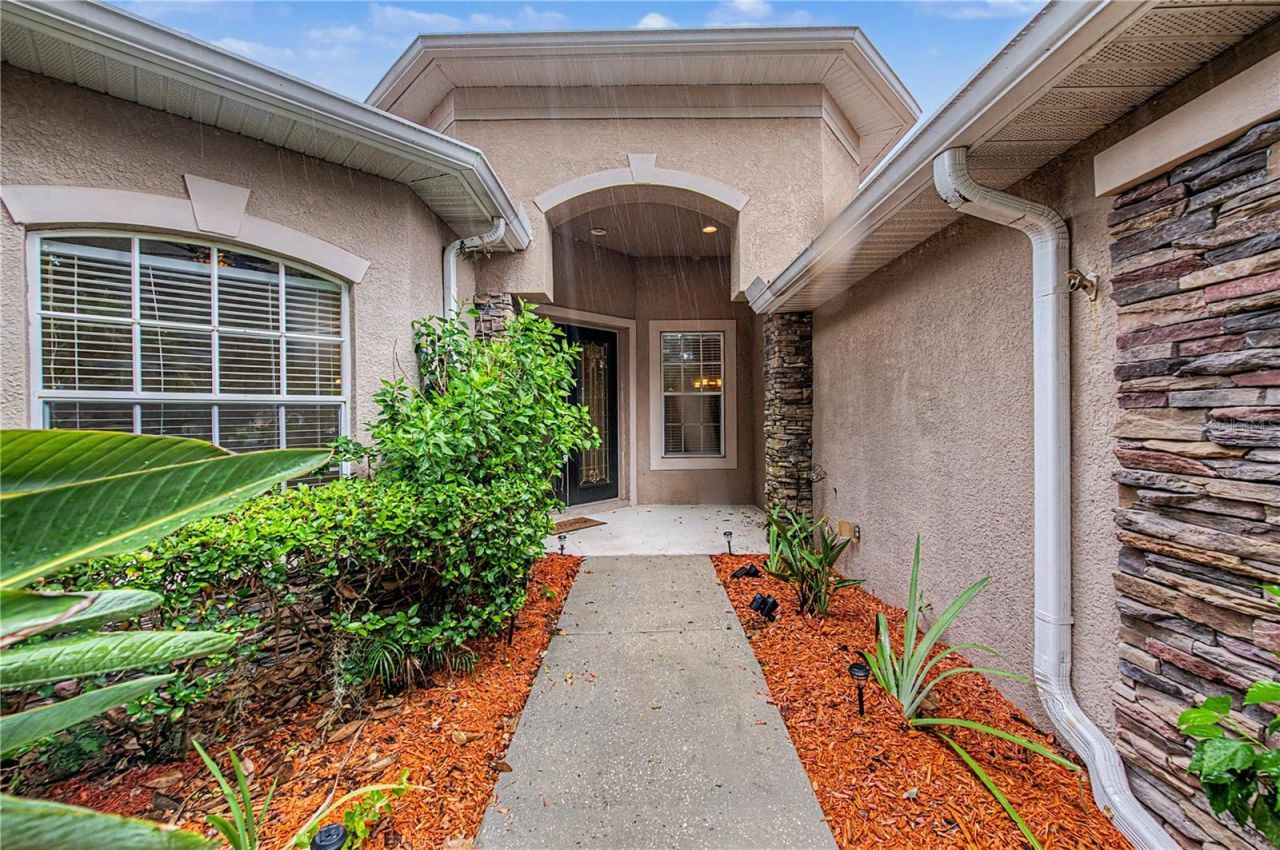 2418 Blue Stone Court, Valrico, FL 33594 Photo