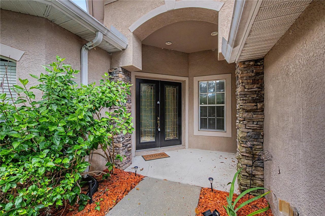 2418 Blue Stone Court, Valrico, FL 33594 Photo