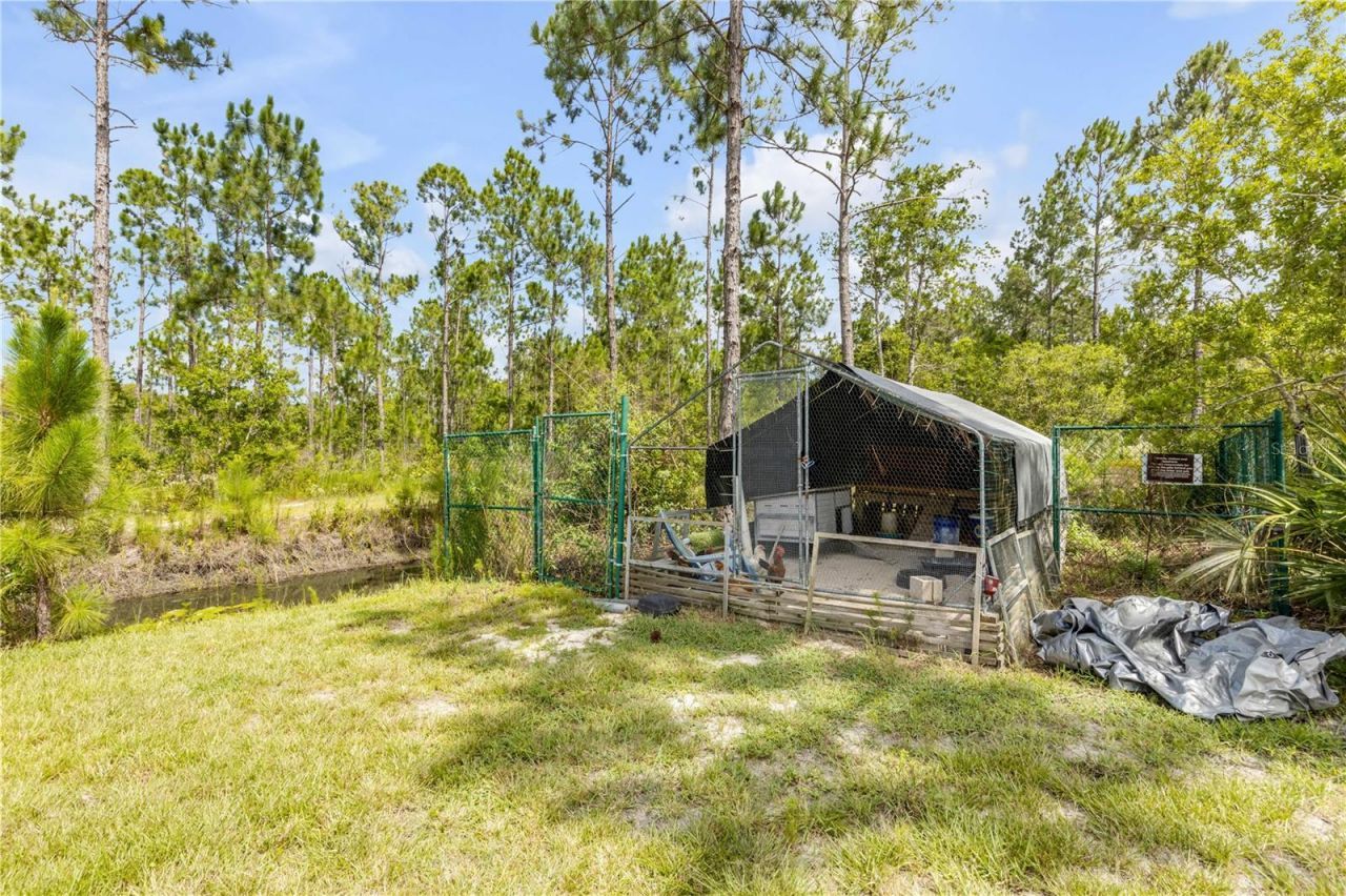 300 Omega Ranch Road, New Smyrna Beach, FL 32168 Photo