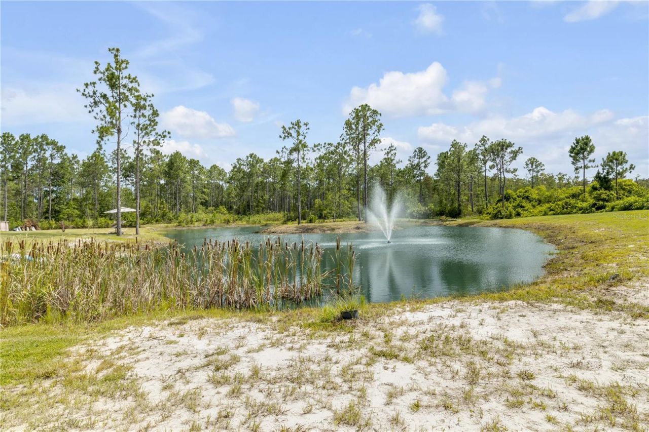 300 Omega Ranch Road, New Smyrna Beach, FL 32168 Photo