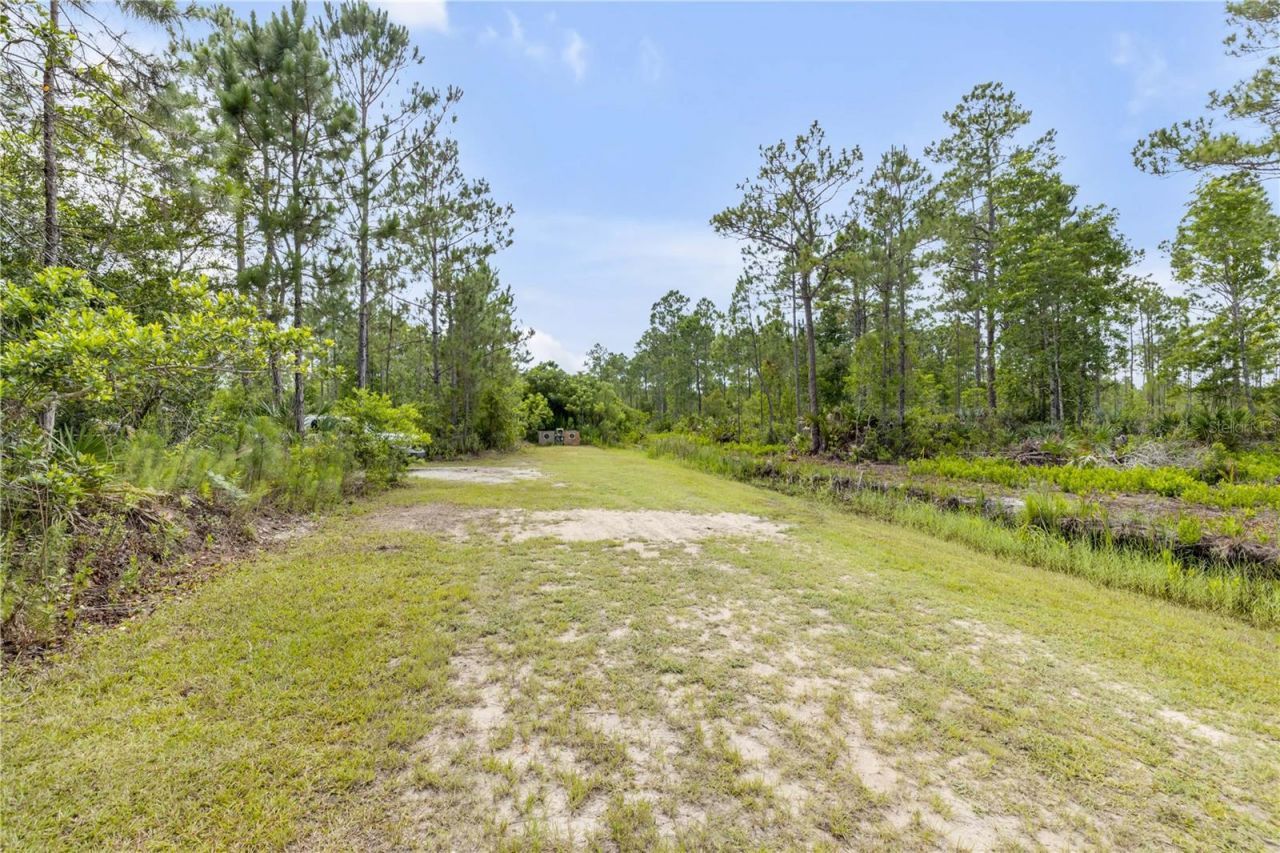 300 Omega Ranch Road, New Smyrna Beach, FL 32168 Photo