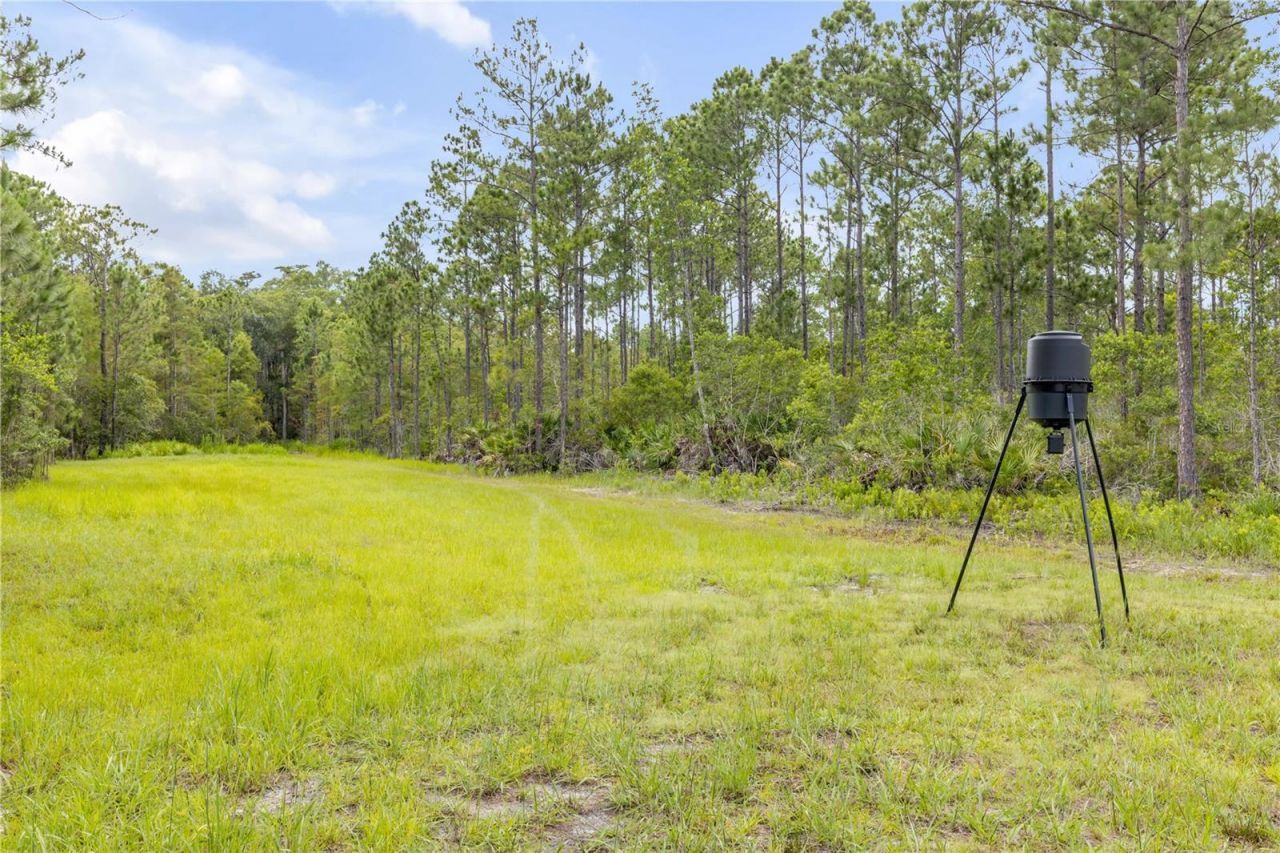 300 Omega Ranch Road, New Smyrna Beach, FL 32168 Photo