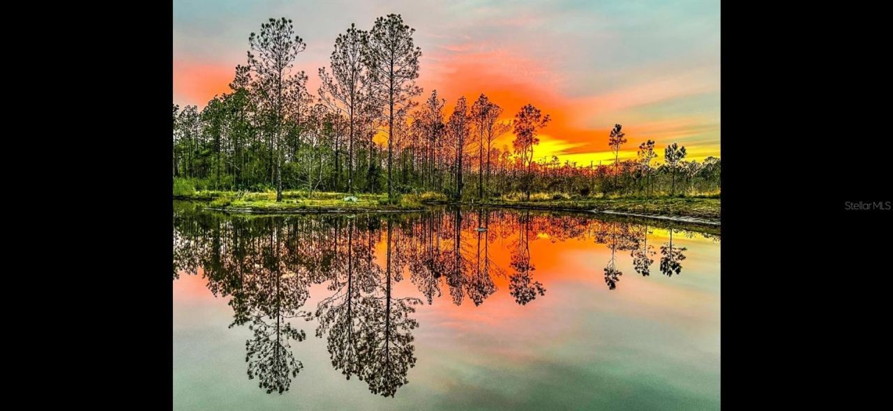 300 Omega Ranch Road, New Smyrna Beach, FL 32168 Photo