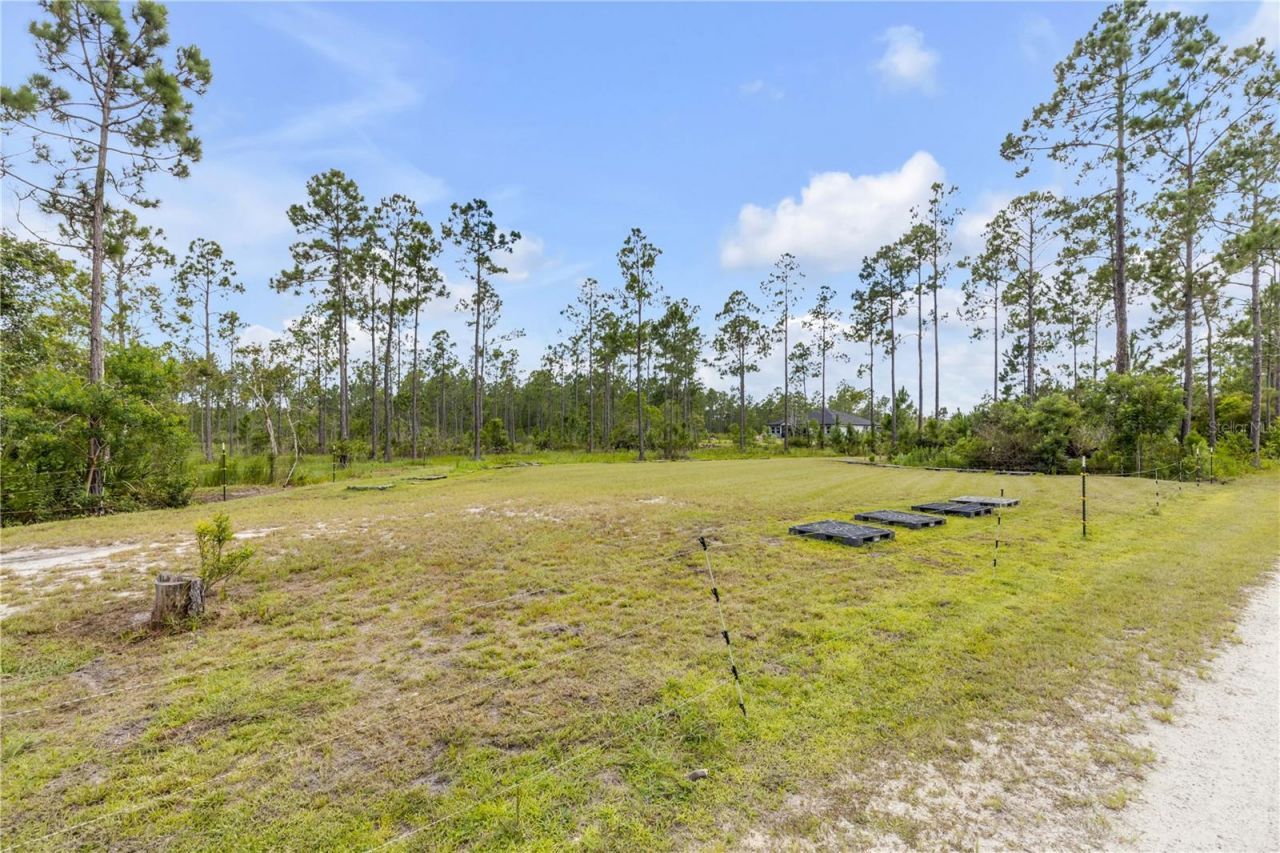 300 Omega Ranch Road, New Smyrna Beach, FL 32168 Photo