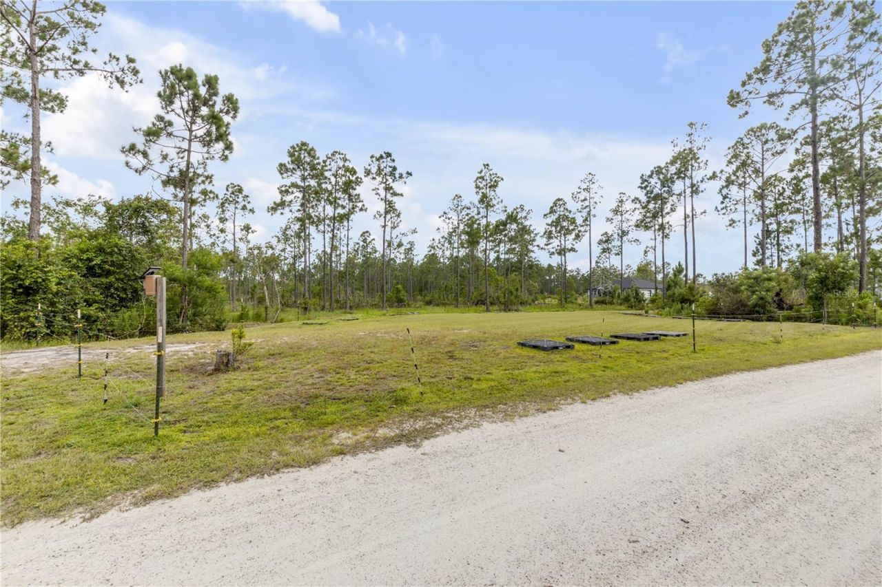 300 Omega Ranch Road, New Smyrna Beach, FL 32168 Photo