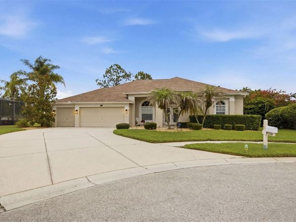 25651 FERDINAND COURT, WESLEY CHAPEL, FL 33544