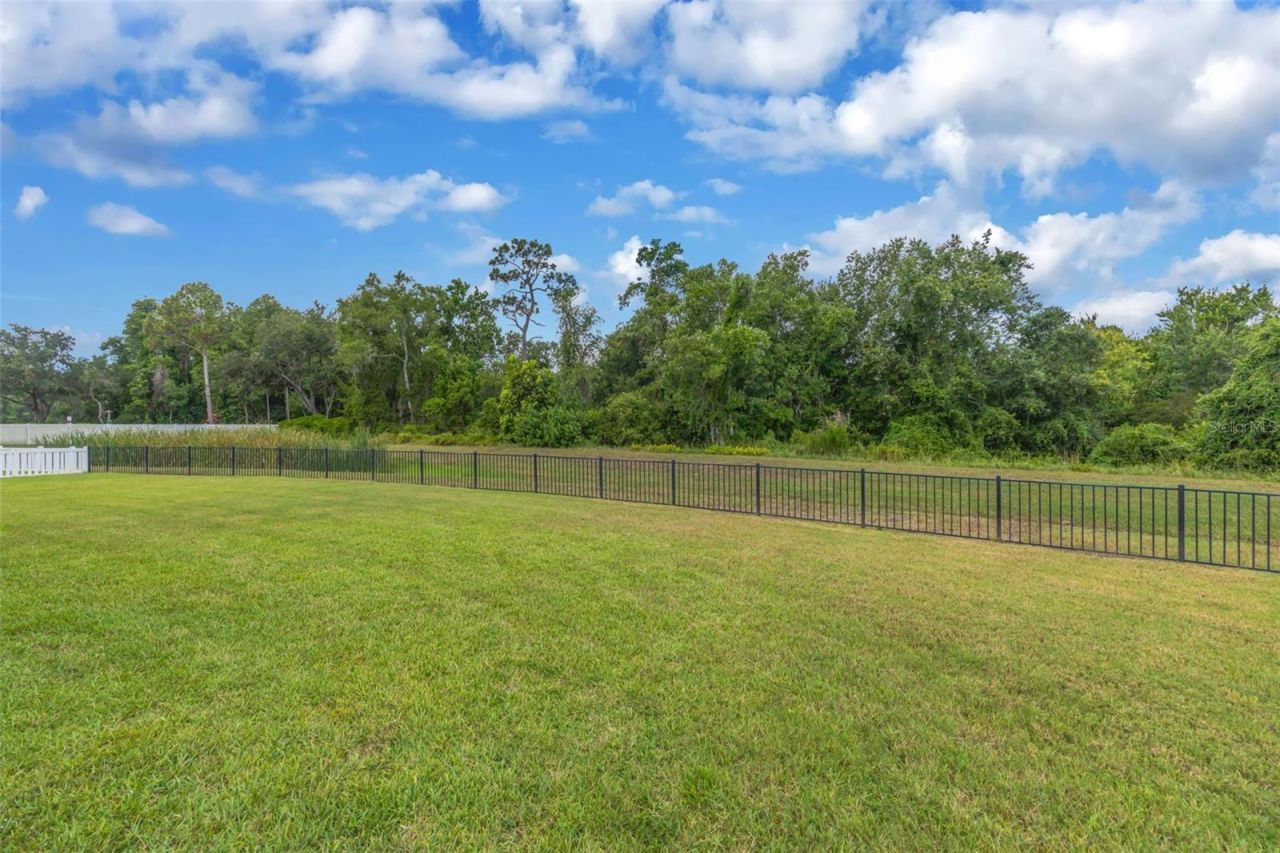 13804 Fairway Bunker Drive, Tampa, FL 33626 Photo