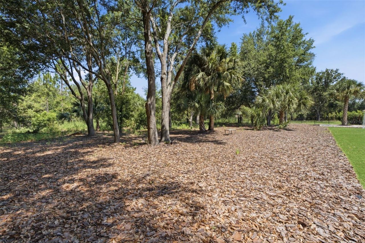 15800 Pendio Drive, Bella Collina, FL 34756 Photo
