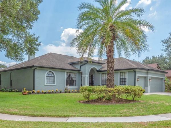 2219 LONGMORE CIRCLE , VALRICO, FL 33596