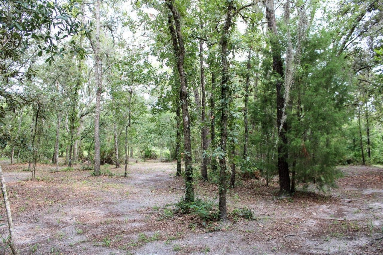 12076 Marvelwood Road, Weeki Wachee, FL 34614 Photo