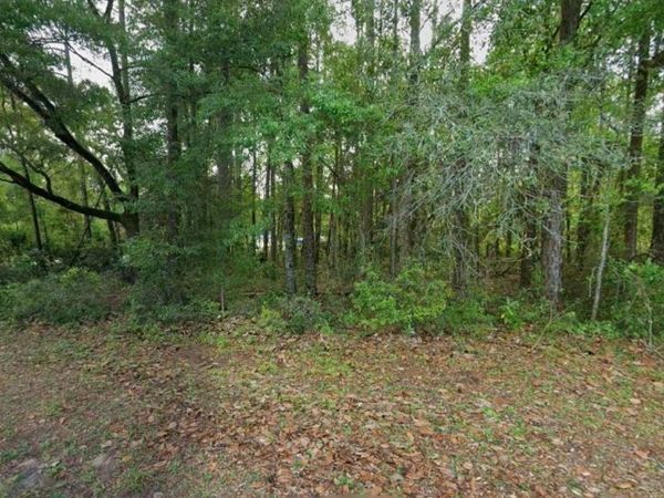 10181 N GARDNER WAY , CITRUS SPRINGS, FL 34434