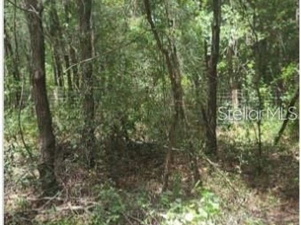 SOUTHWEST 156TH PLACE , DUNNELLON, FL 34432