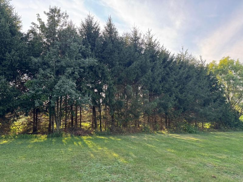 26220 Mill Road , Utica, OH 43080 Photo 6