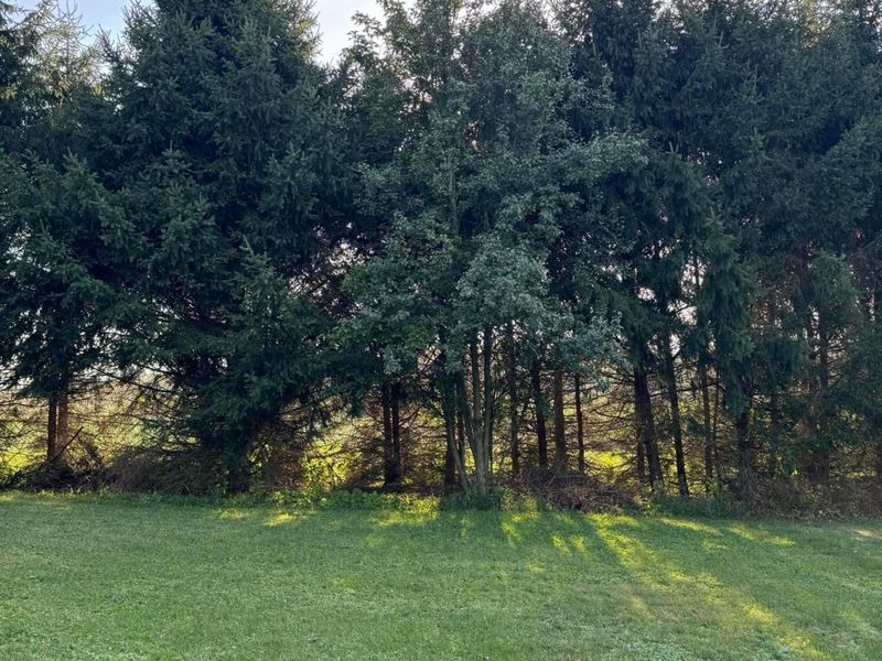 26220 Mill Road , Utica, OH 43080 Photo 7