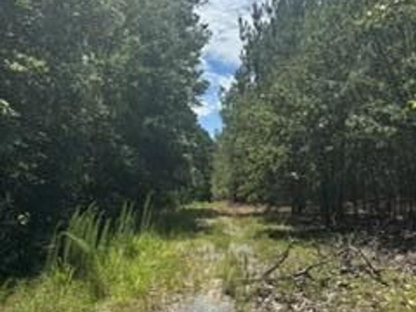 Tbd Boling Way, Carthage, NC 28327