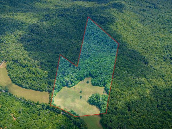 0 Walnut Mtn Road, Roan Mountain, TN 37687
