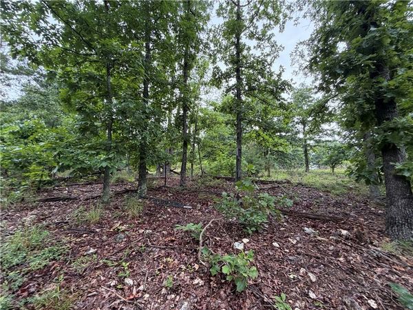 OFF OF Morgan Cave Road , Harrison, AR 72601