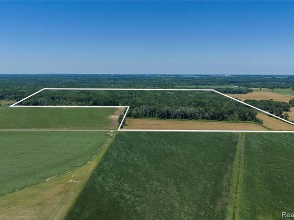 000 Dodge Rd , Ellington Twp, MI 48726