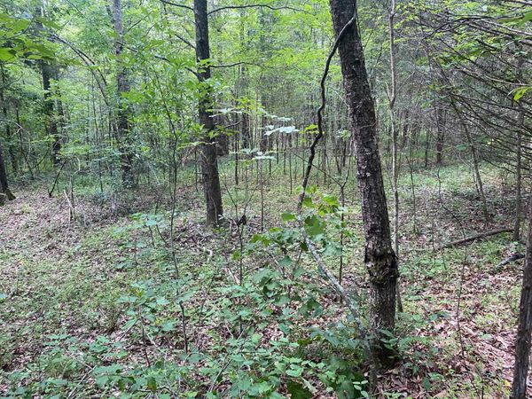 LEONARD LN, Bethel Springs, TN 38315