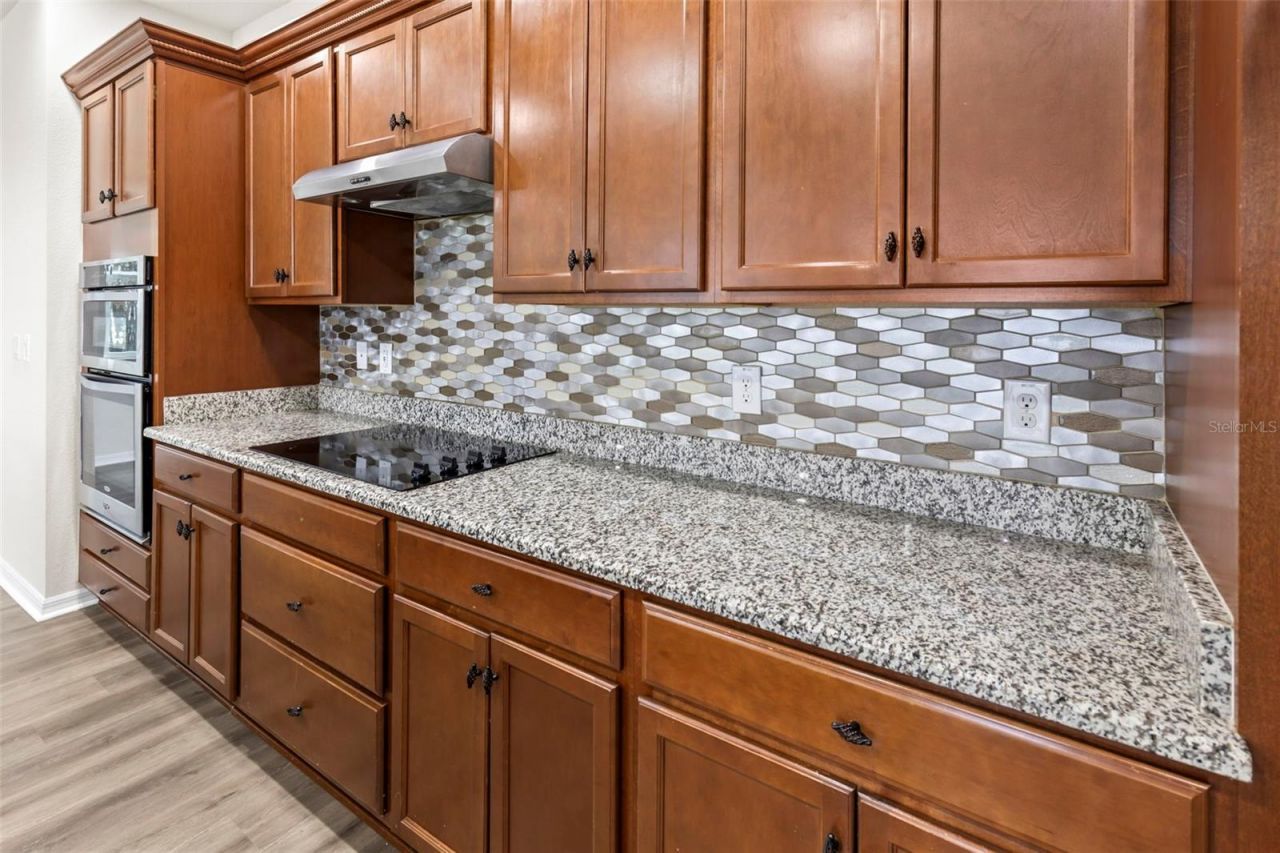 12210 Moss Lake Loop , New Port Richey, FL 34655 Photo