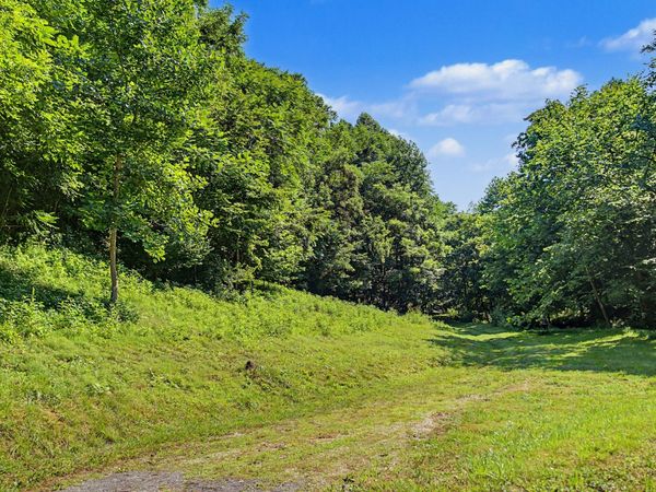 1505 Dark Hollow Rd , Lafayette, TN 37083