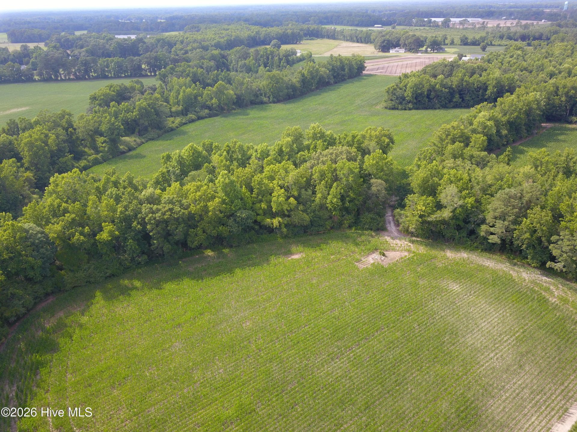 1817 Off S/ Road S, Chinquapin, NC 28521 Main Photo