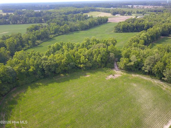 1817 Off S/ Road S, Chinquapin, NC 28521
