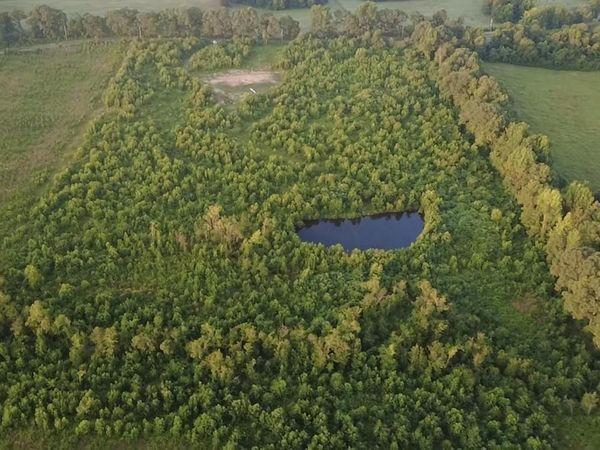447 Polk Road 32 , Cove, AR 71937