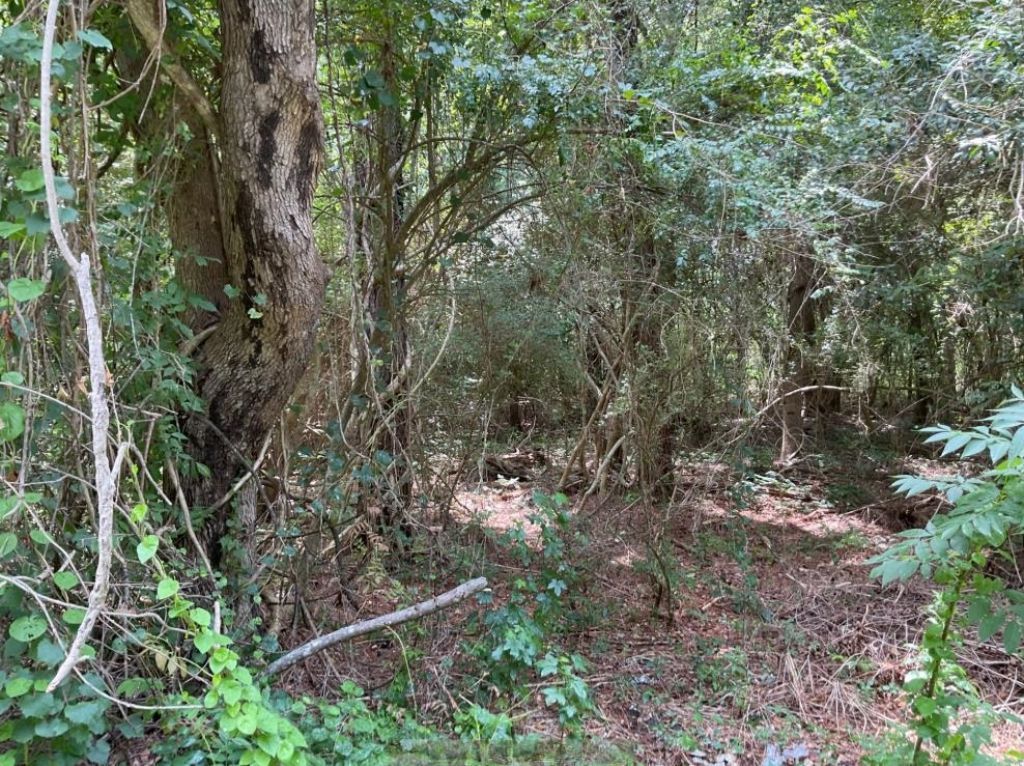 Tbd Cow Head Rd. Photo 5