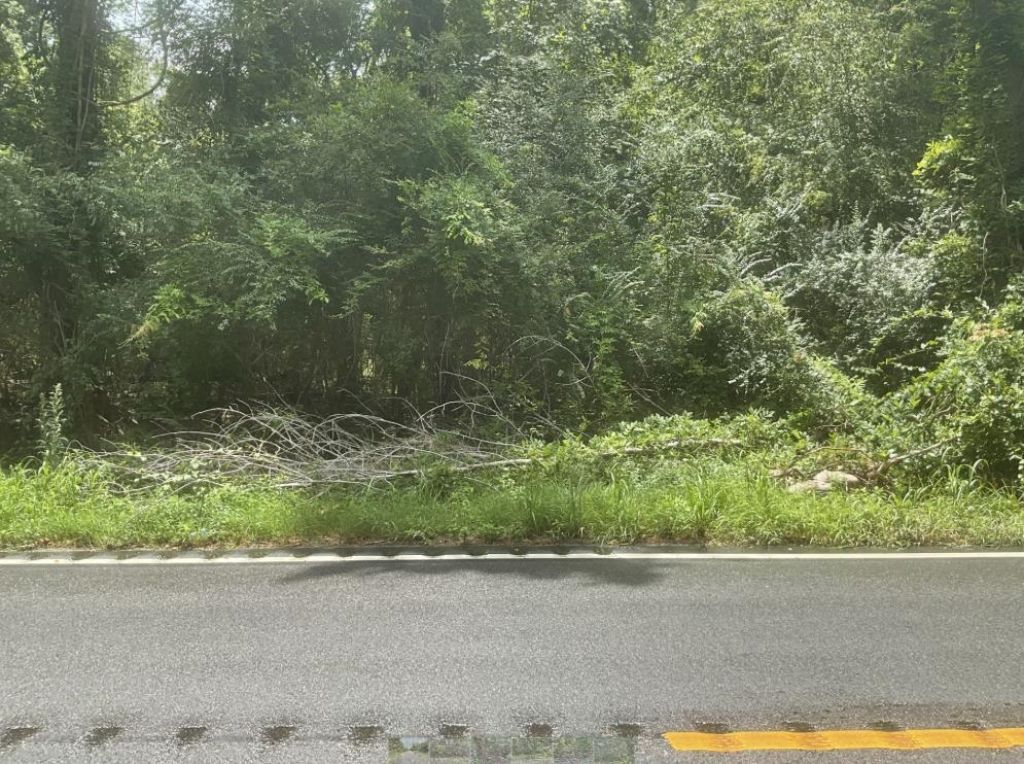 Tbd Cow Head Rd. Photo 6
