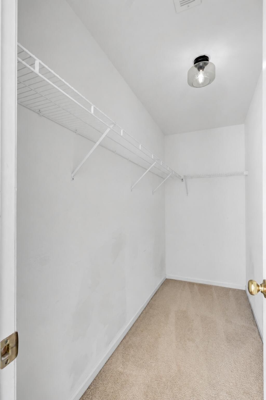 8658 Grassy Oak Trail Photo 22