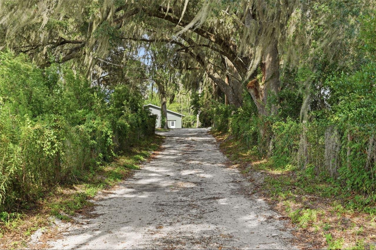 4351 NE 210th Avenue, Williston, FL 32696 Photo