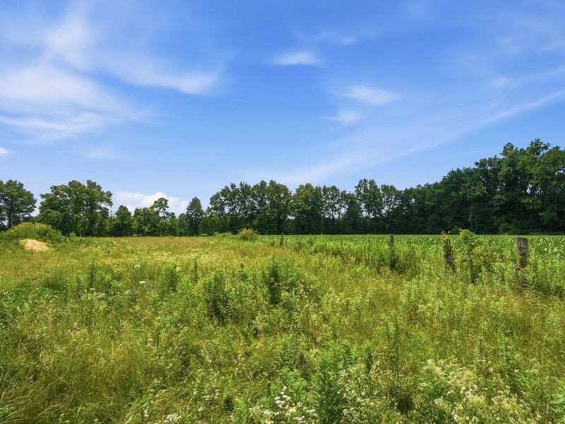 7353 Ross Road, Washington Township, OH 45054 Photo 61