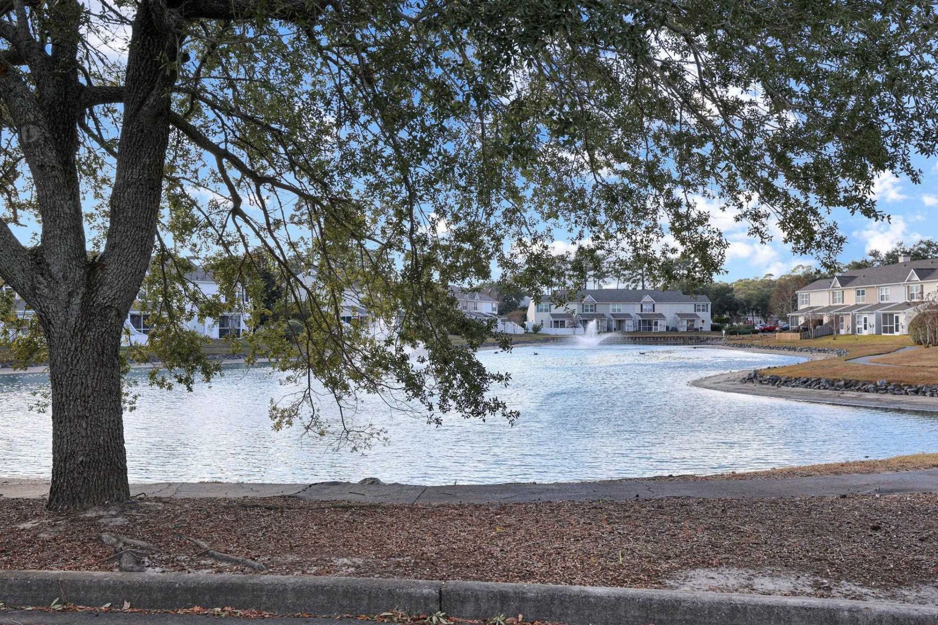 3547 Crepe Myrtle Ct.  Photo 30