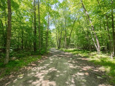 TBD County 5, Hackensack, MN 56452