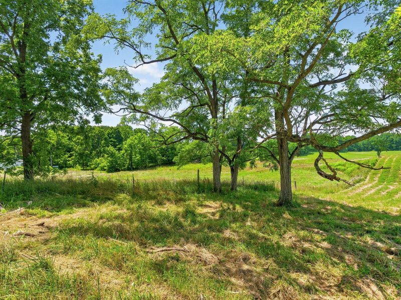 5650 Ohio 314, Fredericktown, OH 43019 Photo 23