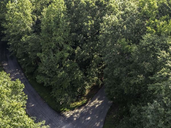 0 Cambridge Lane, Bremen, GA 30110