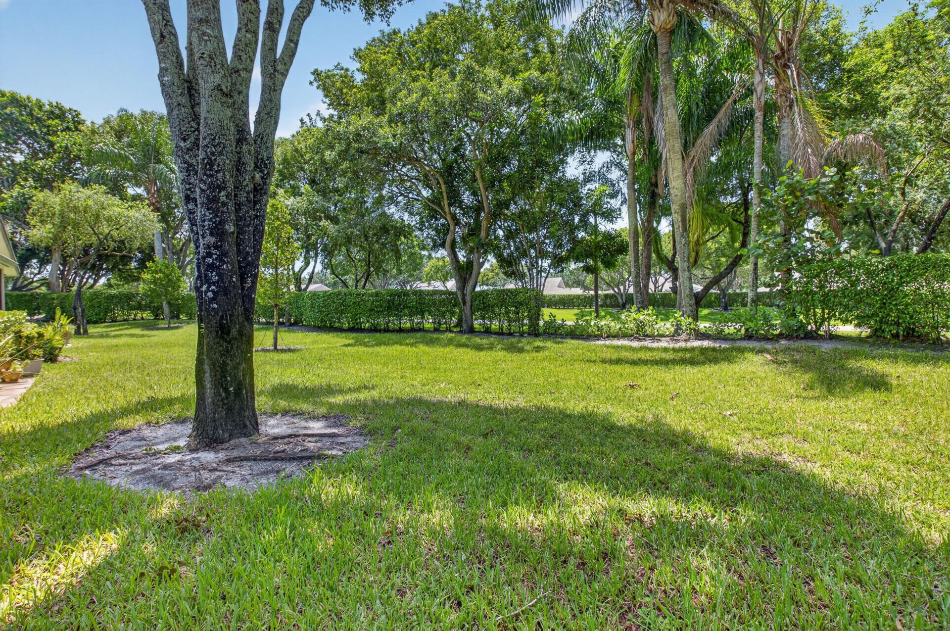 8246 Springview Terrace, Boca Raton, FL 33496 Photo