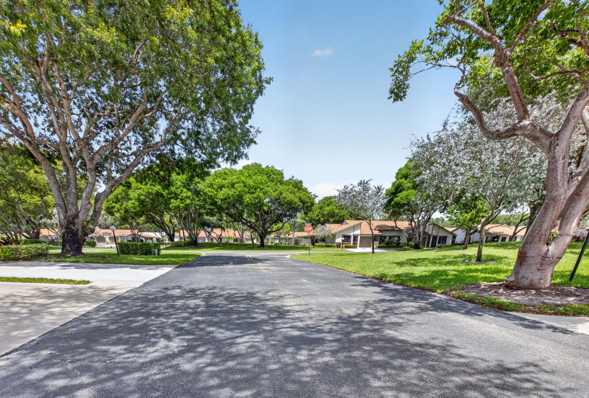 8246 Springview Terrace, Boca Raton, FL 33496 Photo