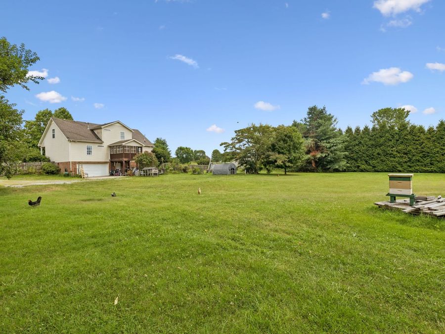 Property Image 43