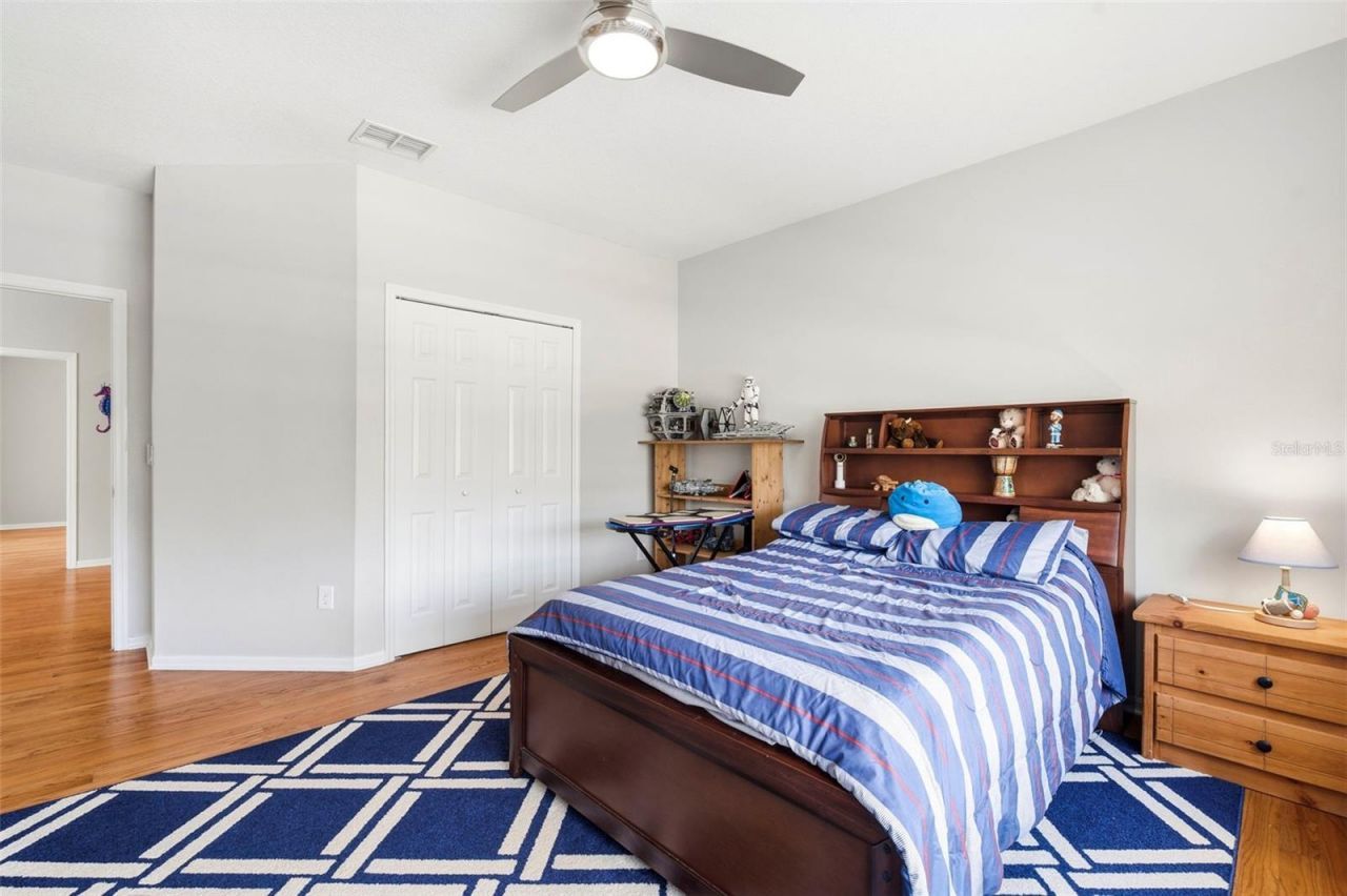 3530 Valencia Cove Court, Land O Lakes, FL 34639 Photo