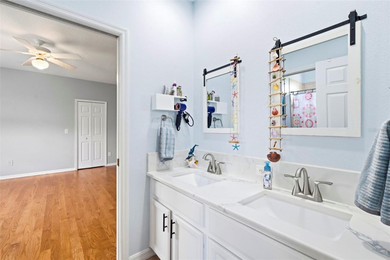 3530 Valencia Cove Court, Land O Lakes, FL 34639 Photo