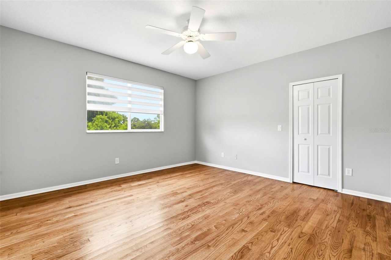3530 Valencia Cove Court, Land O Lakes, FL 34639 Photo