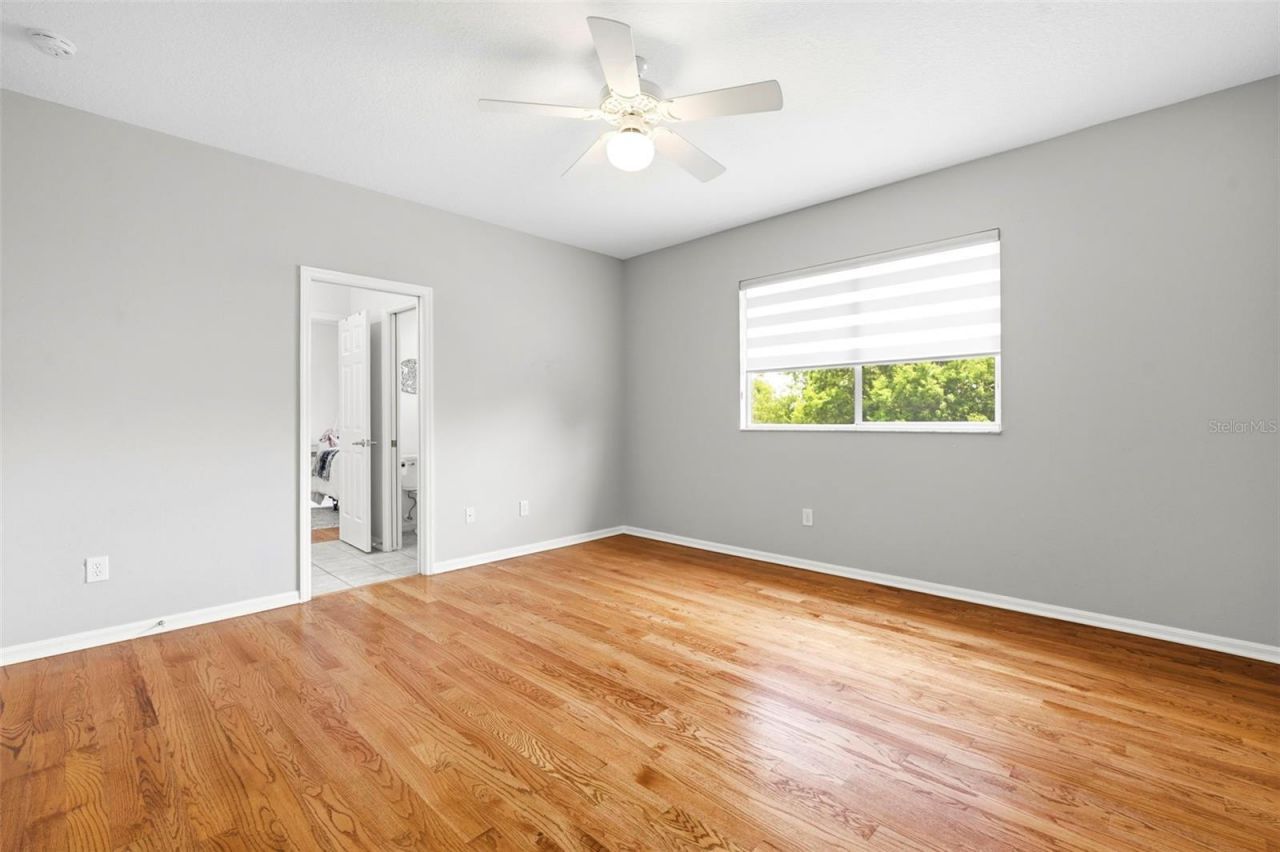 3530 Valencia Cove Court, Land O Lakes, FL 34639 Photo