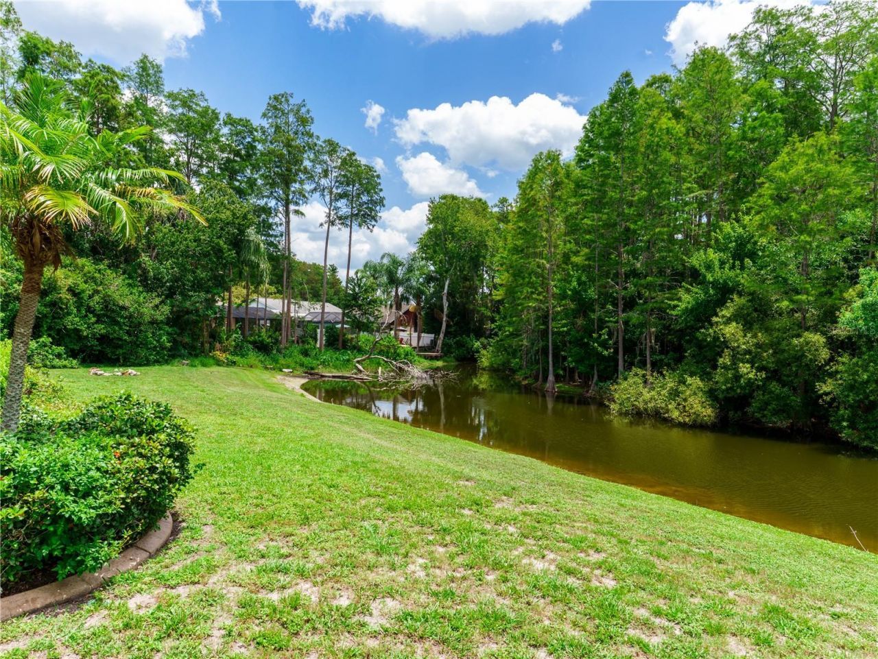 8153 Baytree Drive, New Port Richey, FL 34653 Photo